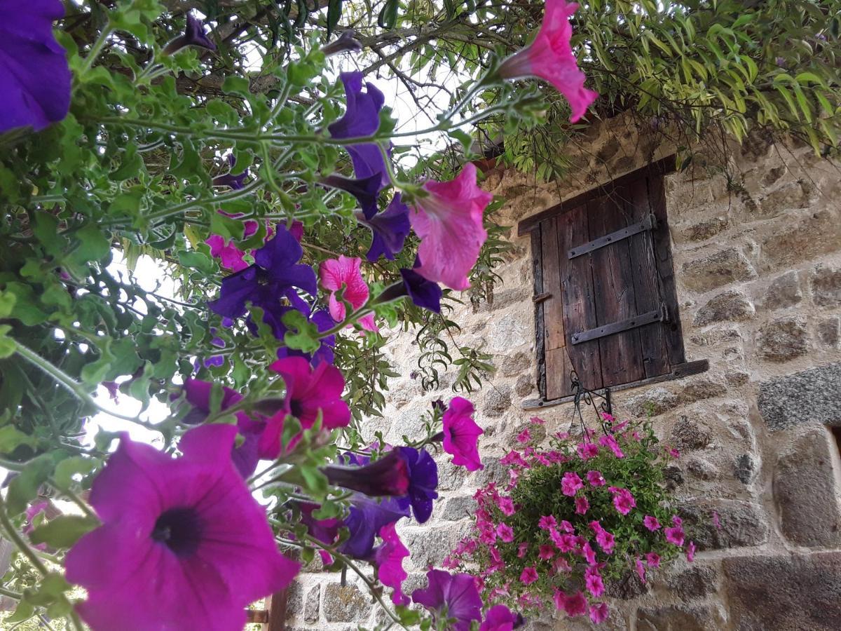 La Belle Ame Bed and Breakfast Saint-Priest-des-Champs Exteriör bild